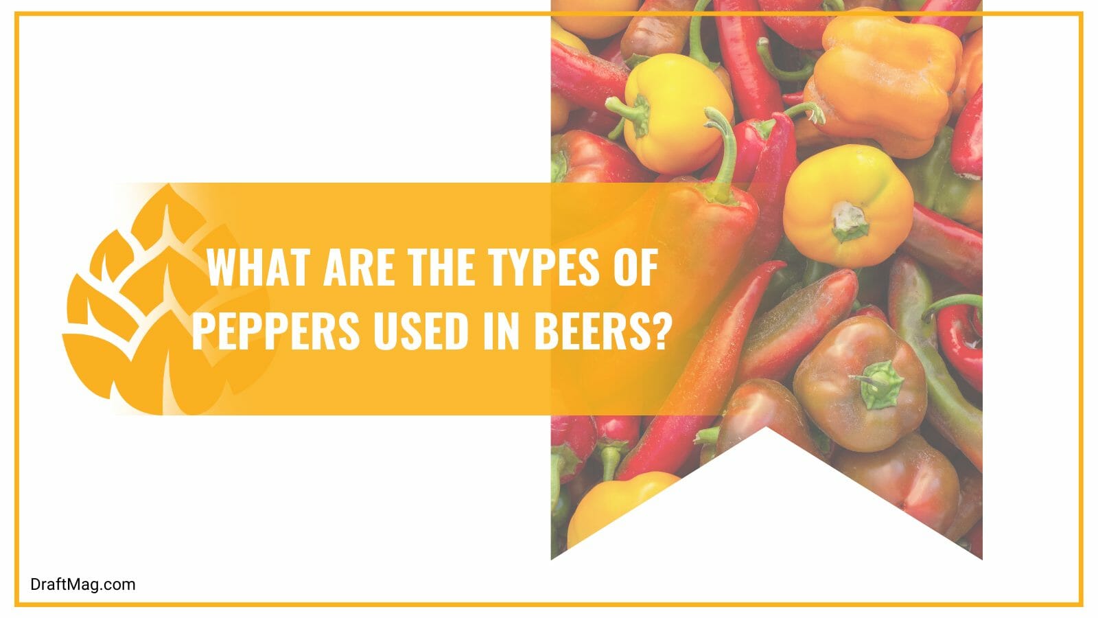 Type of peppers used