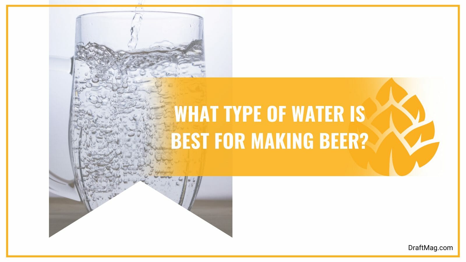 Type of water for beer