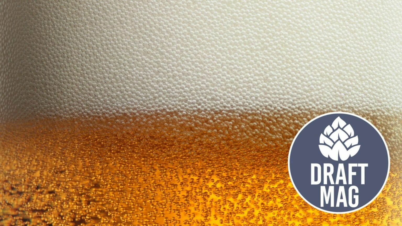 Valuable German Beer Stein Markings Review: A Guide To Identifying Marks