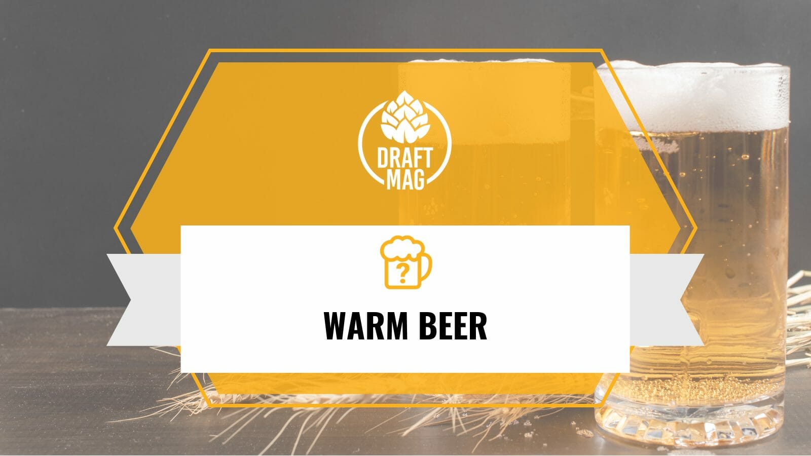 Warm beer complete guide