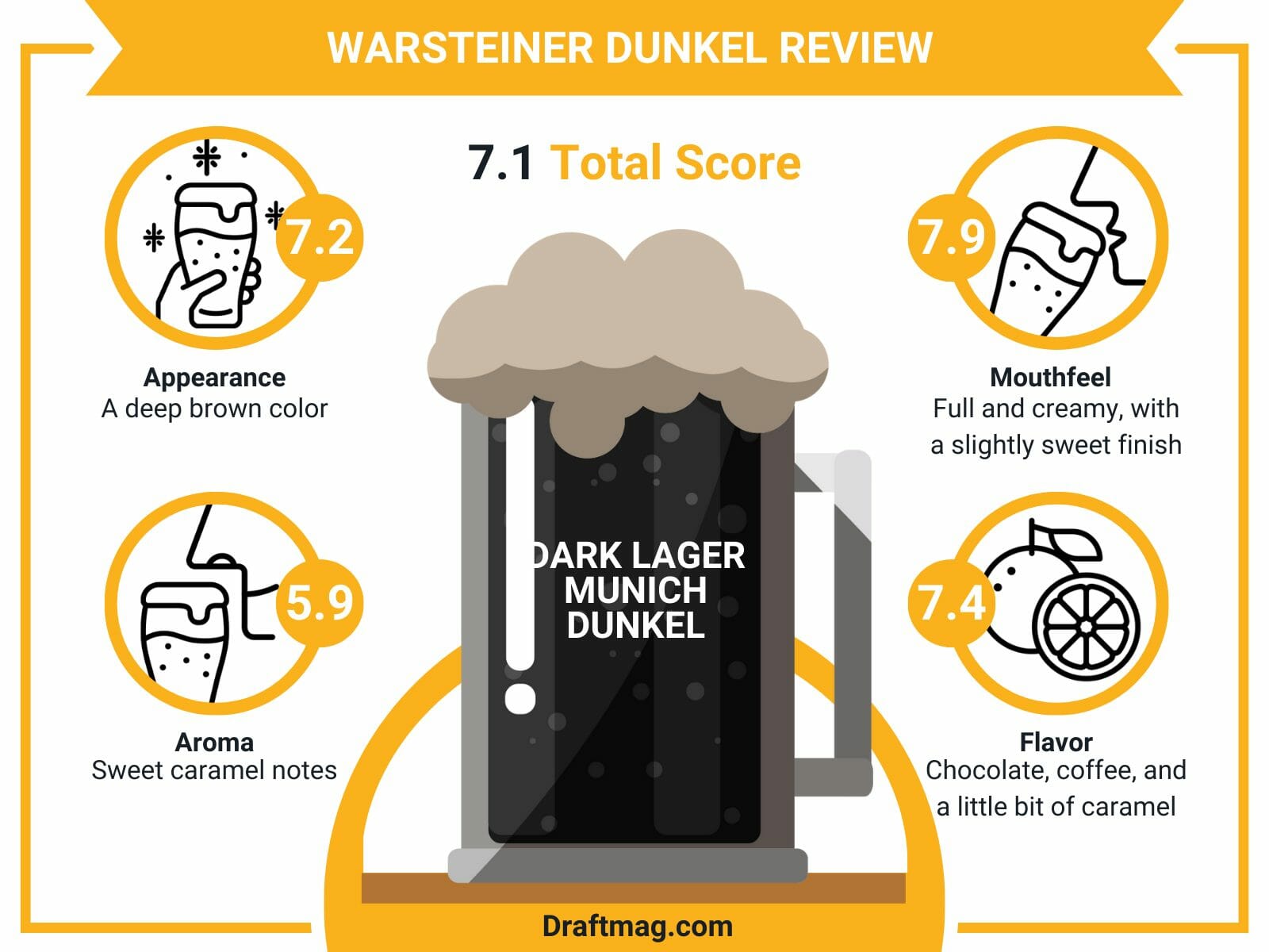 Warsteiner dunkel review infographic