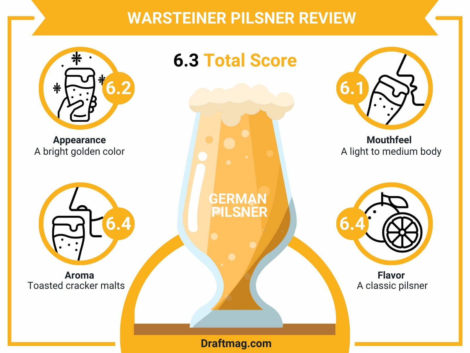 Warsteiner pilsner review infographic