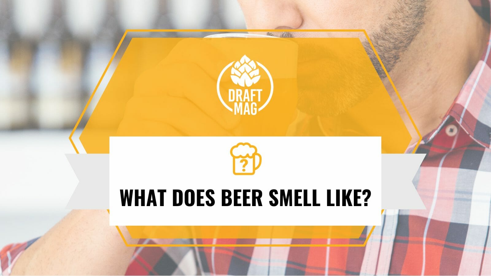 What does beer smell like