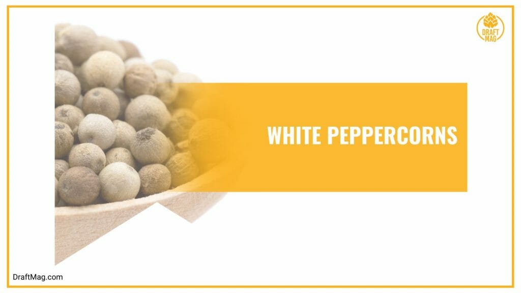 Pepper in Beer Turn up the Heat in Your Cold Brews