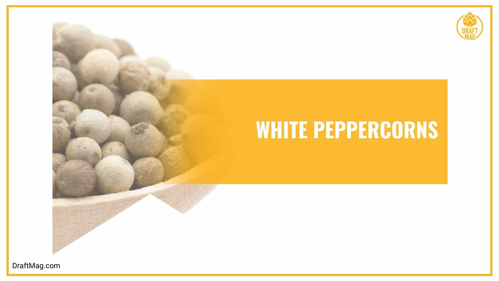 White peppercorns