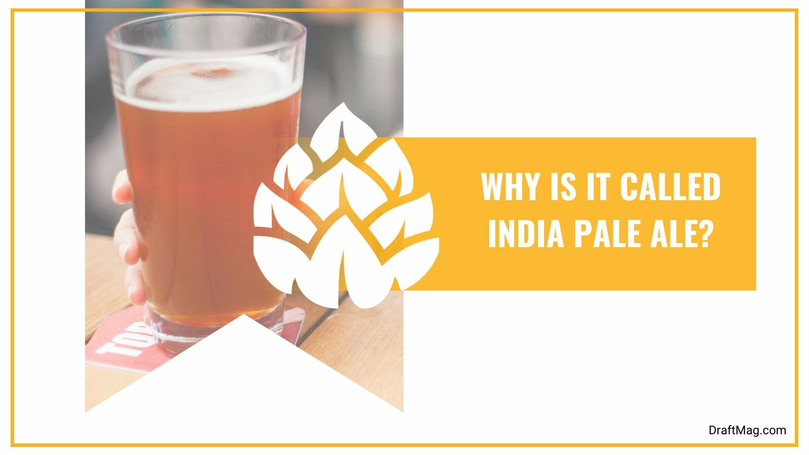 Why india pale ale