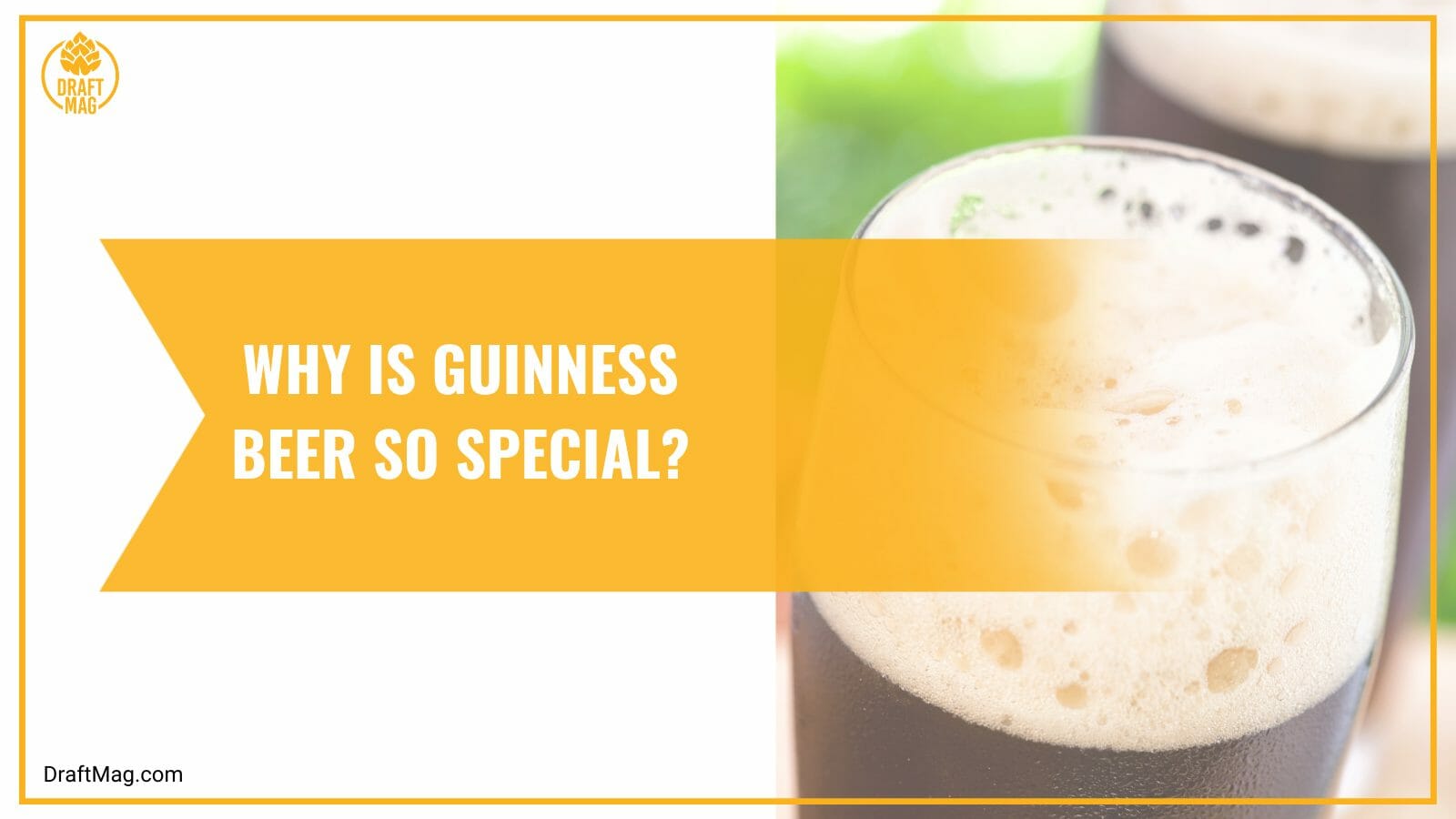 Why is guinness beer special