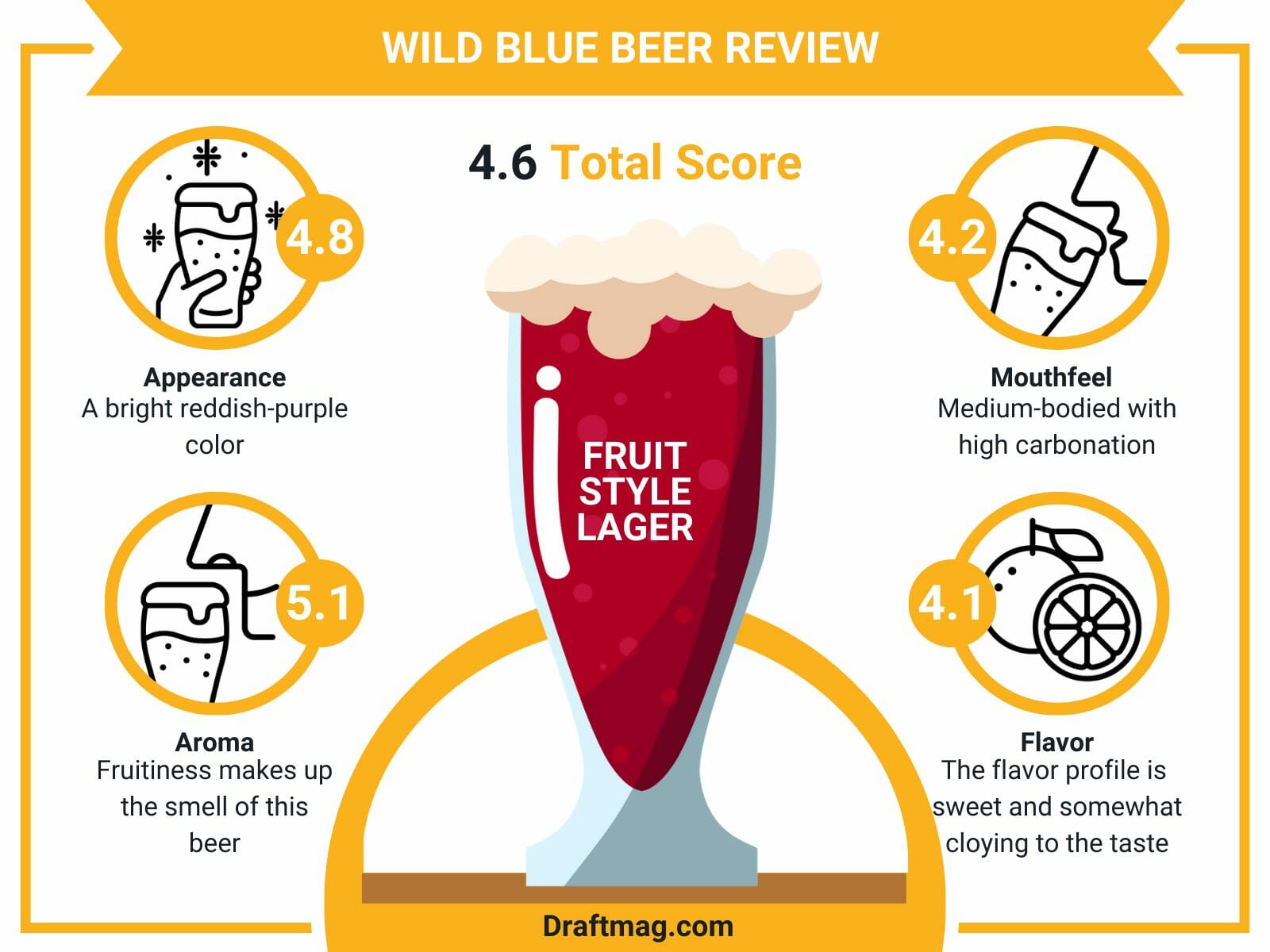 Wild blue beer review infographic