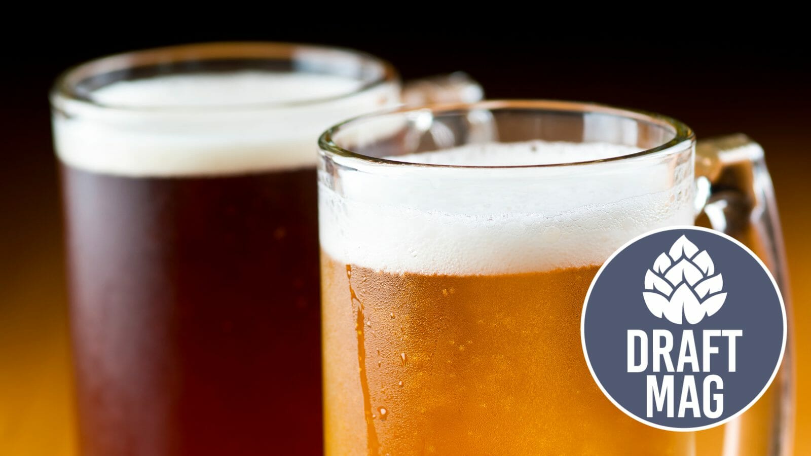 Wild Herd Kolsch Review A Drinkable and Smooth Kolsch