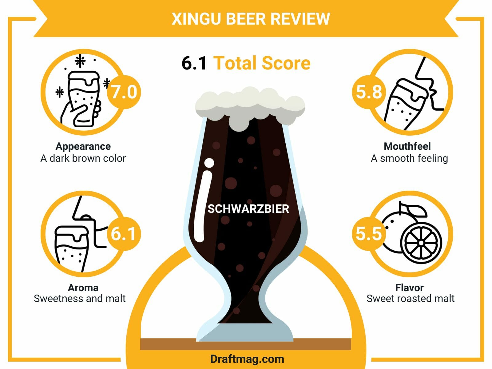 Xingu beer review infographic