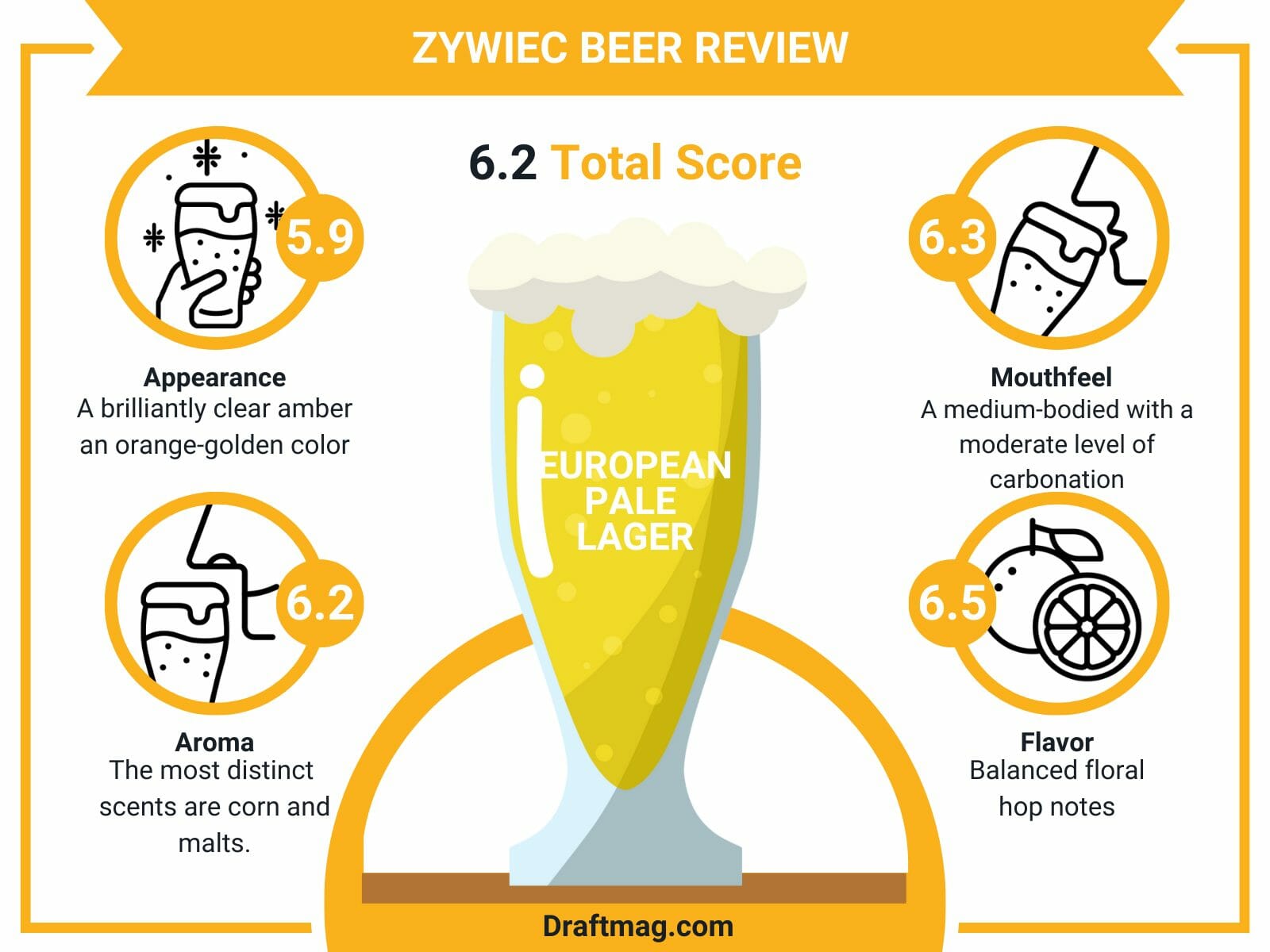 Zywiec beer review infographic