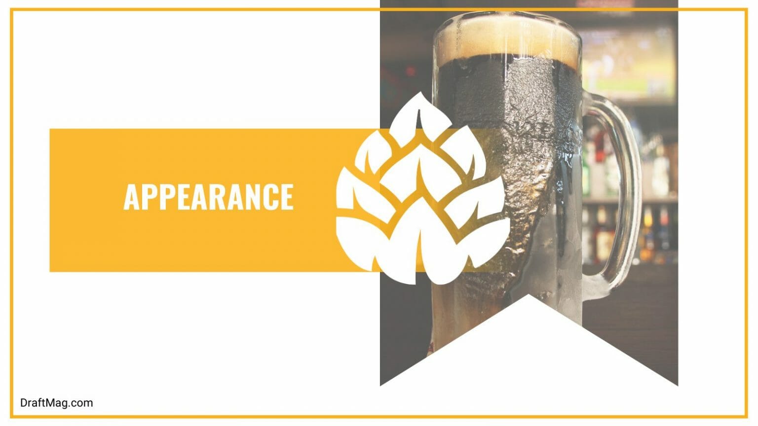 New Glarus Moon Man Review Bright, Bold and Hoppy Ale Draft Mag