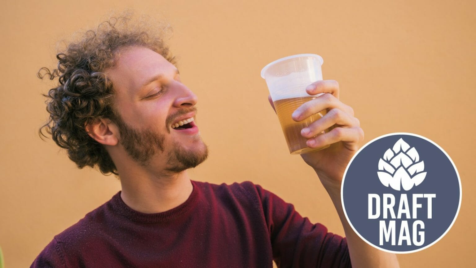 Low or Free Purine Beer A Guide to the Best Beers for Gout