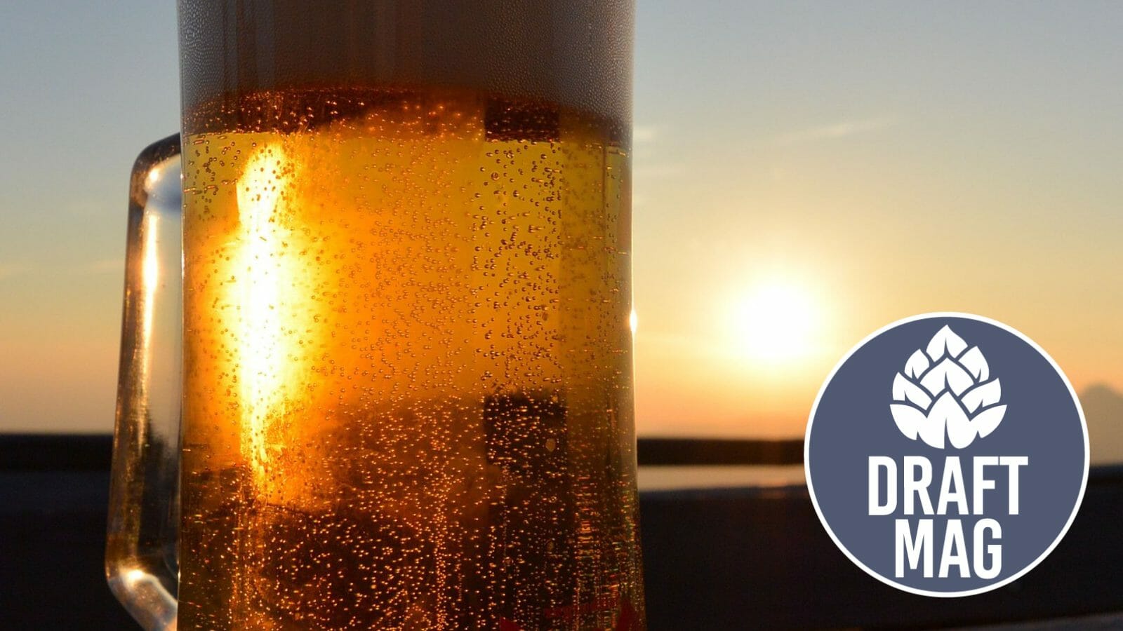 Goat Island Blood Orange Review Excellent Berliner Weisse