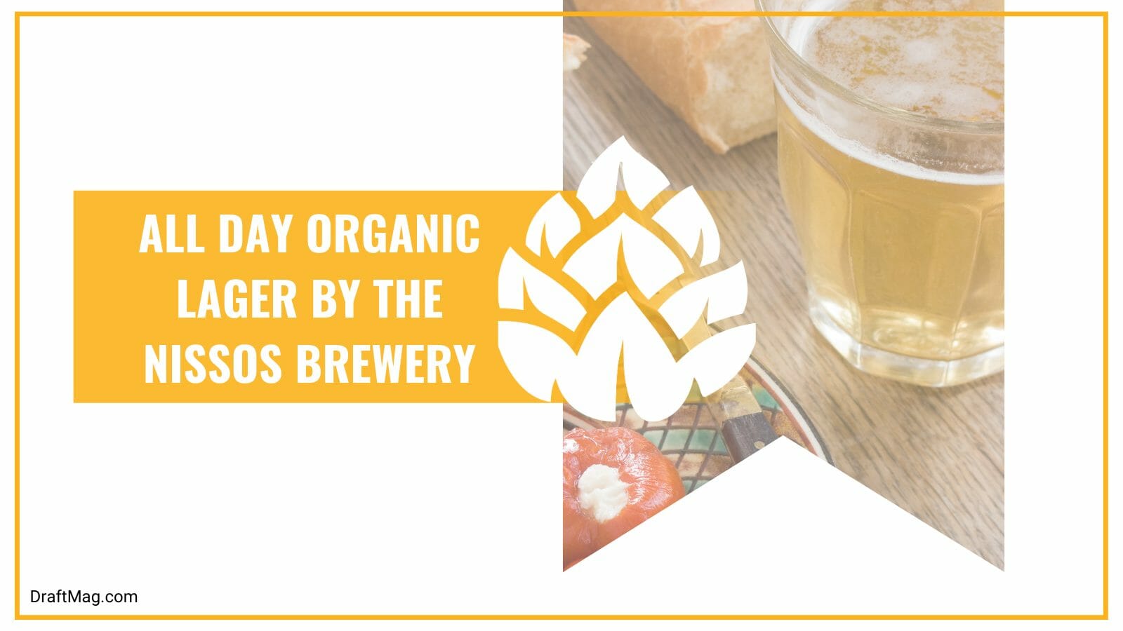 All day organic lager