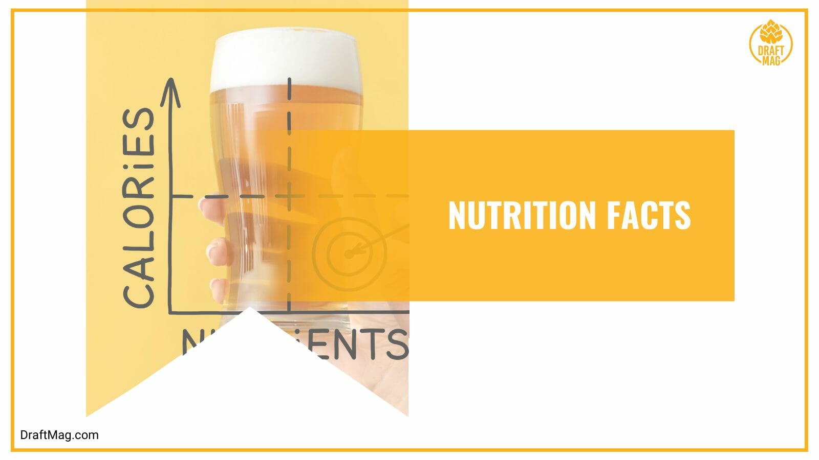 American ipa nutritional summary