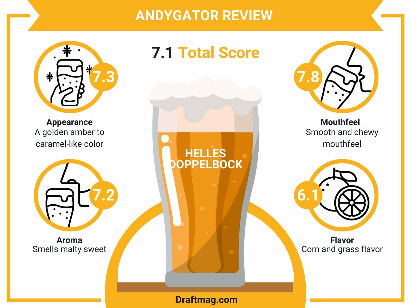Andygator review infographic