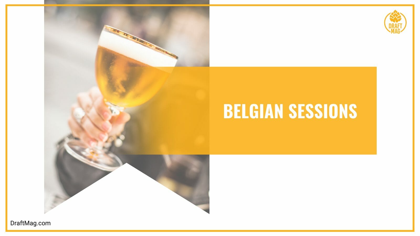 Belgian sessions beer