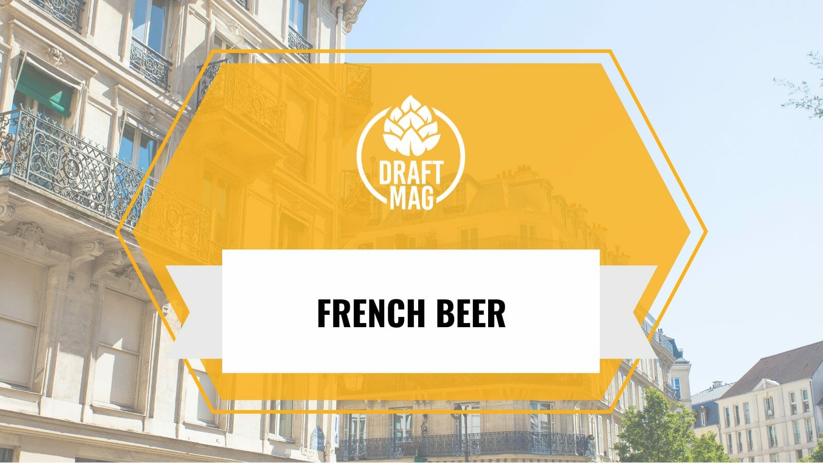 Best selling french beers