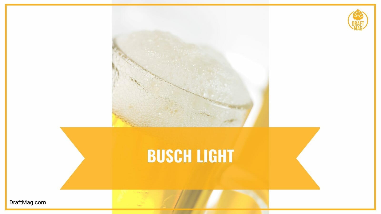 Busch light
