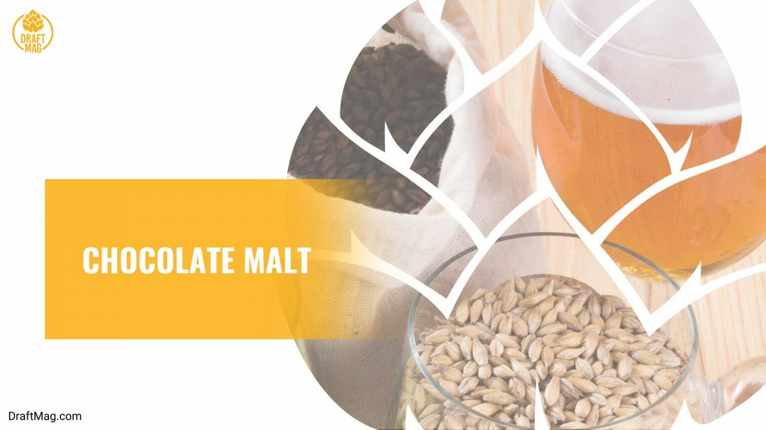 Beer Malt Types: A Comprehensive Guide On The Roots Of Beer