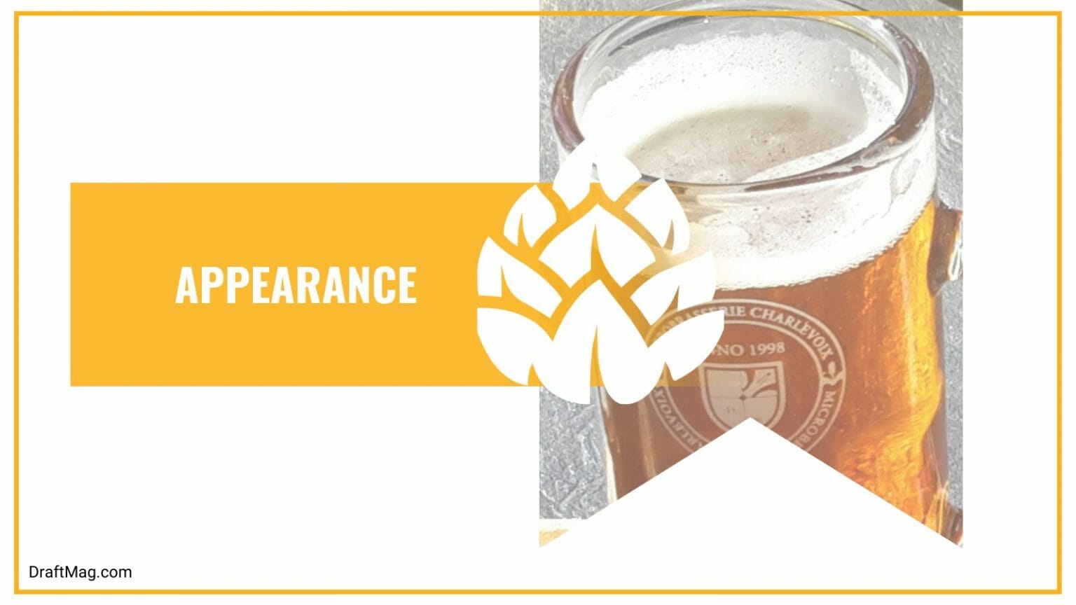 Gumballhead Beer Review A Wheat Ale Bursting With Hops