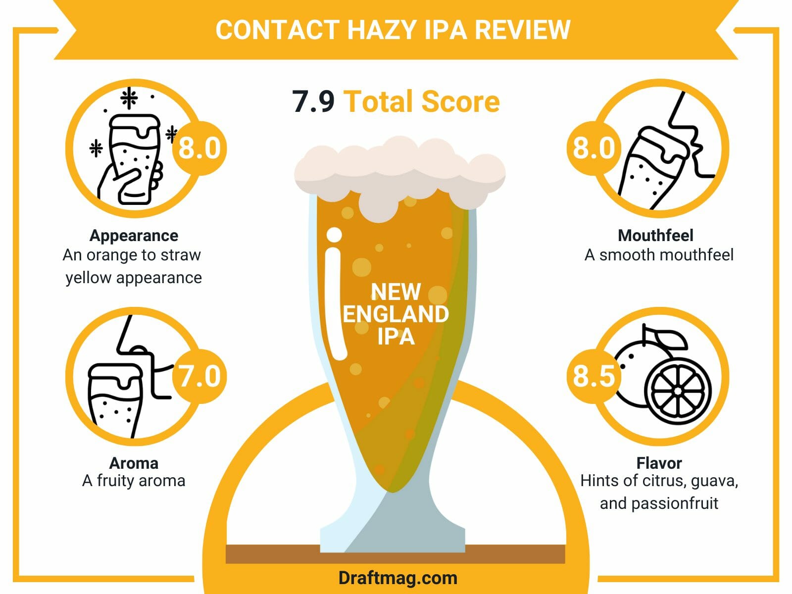 Contact hazy ipa review infographic