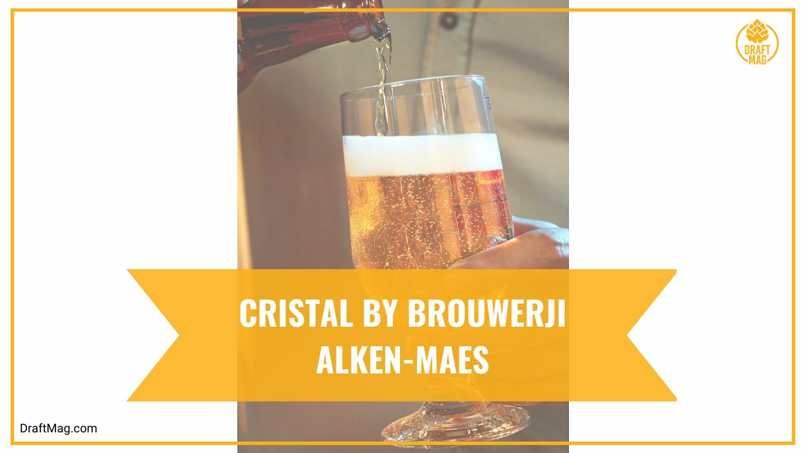 Cristal by brouwerij alkenmaes