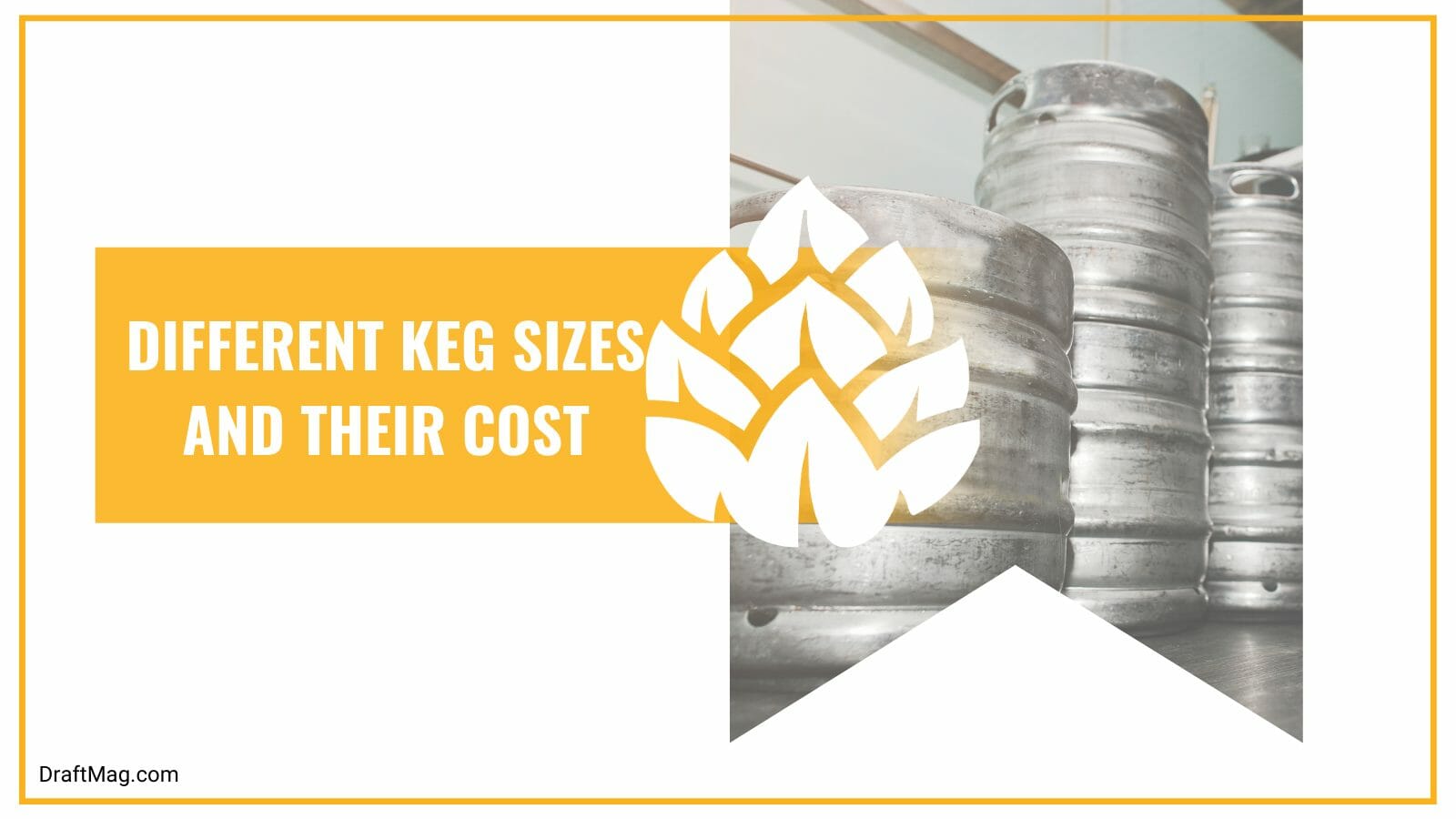 Different keg sizes and prices