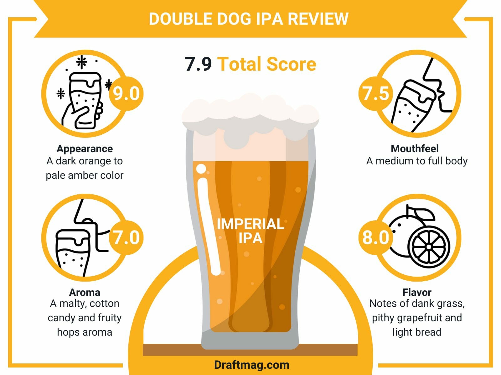 Double dog ipa review infographic