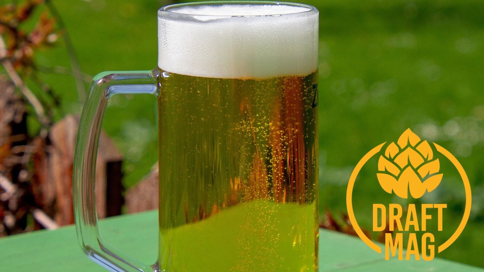 Pilsener Ecuador Review Light and Simple Czech Pilsner