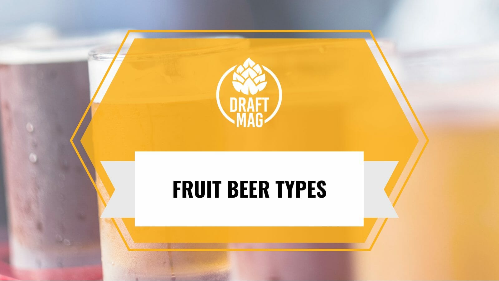Fruit beer types