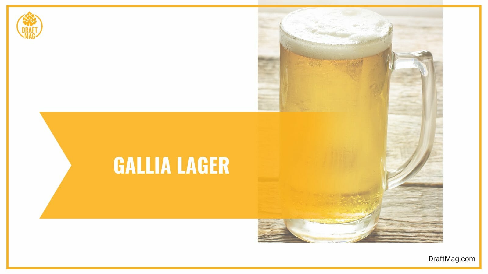 Gallia lager