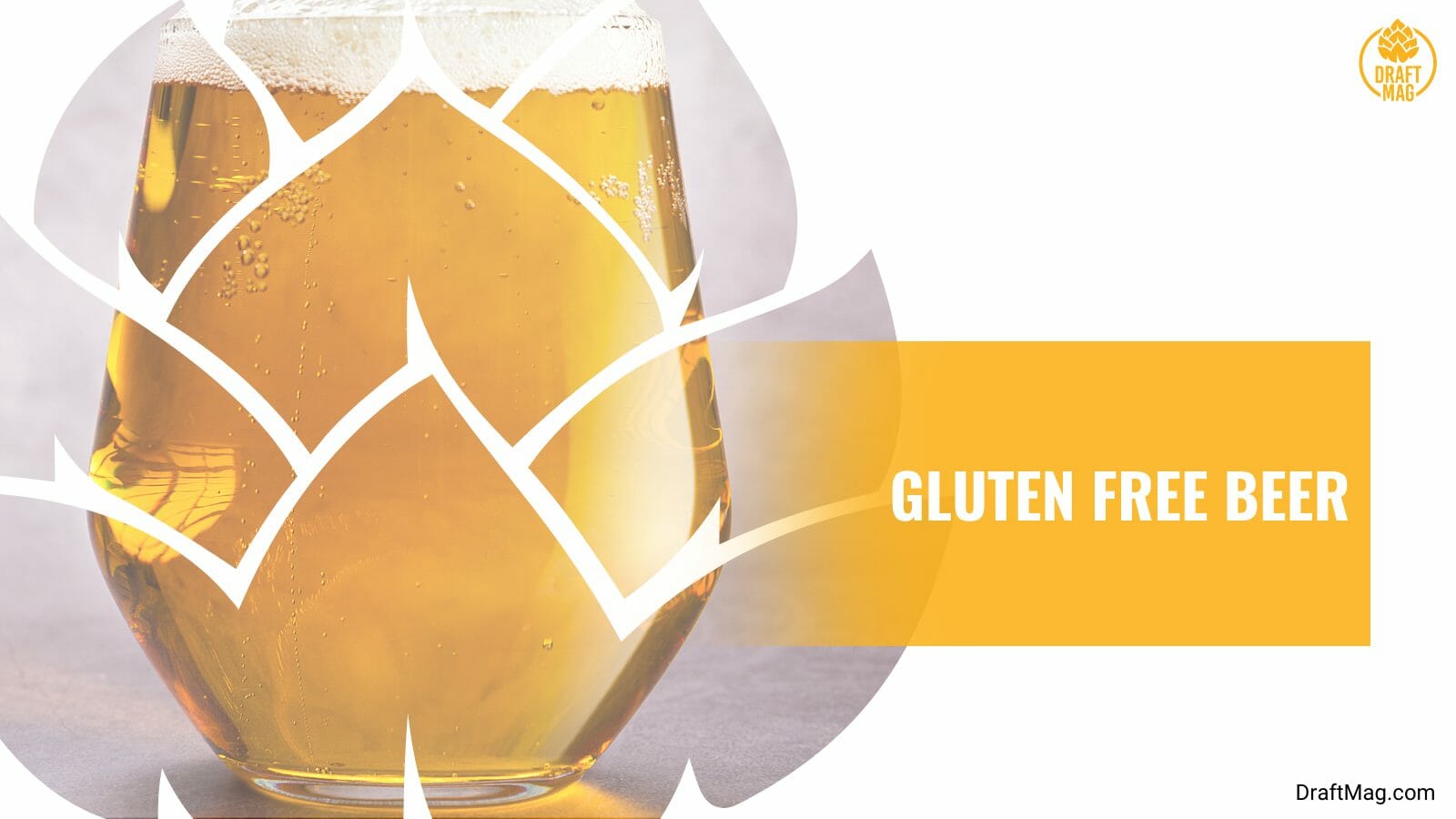 Gluten free beer