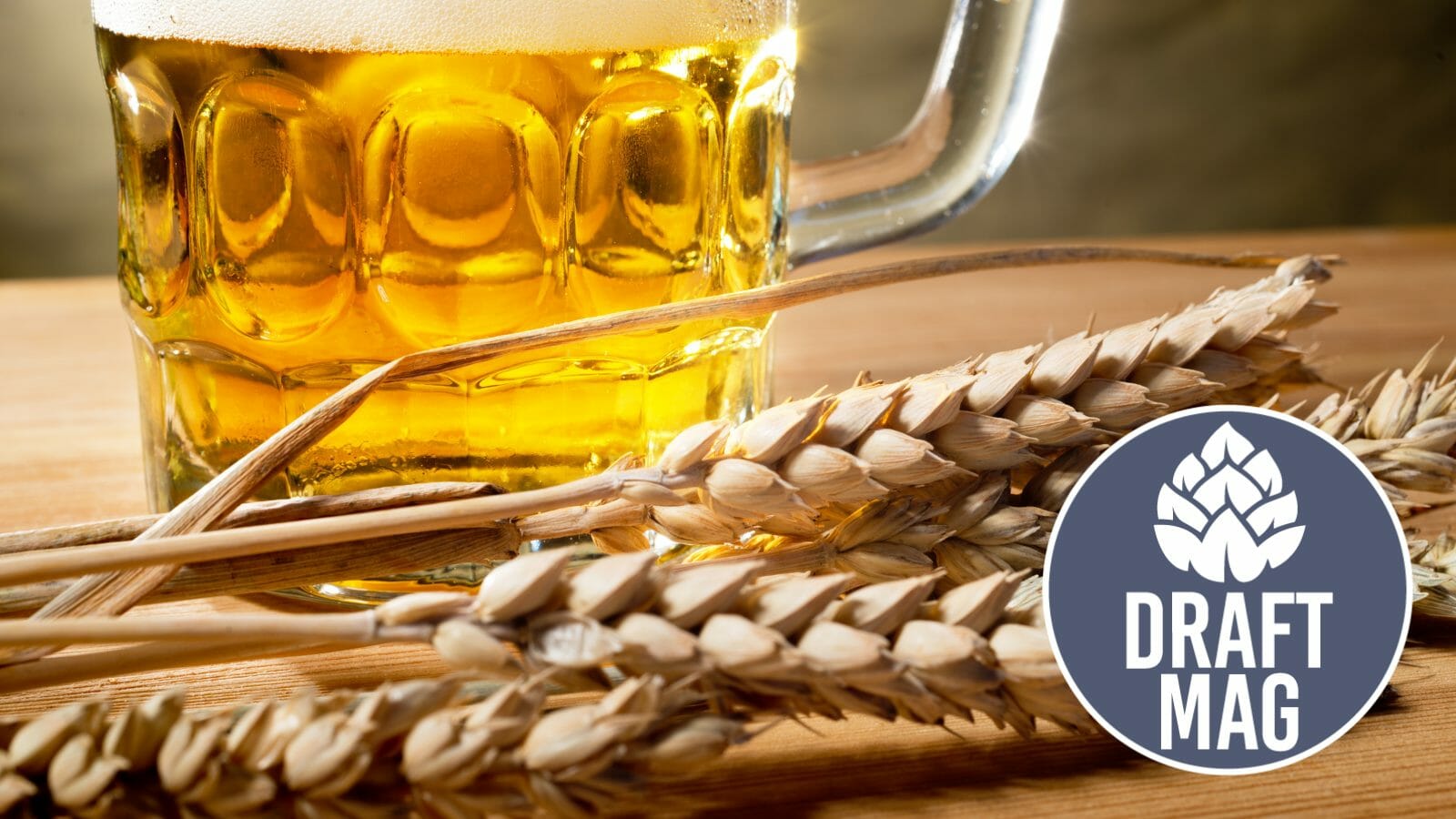 How Much Gluten Is in Beer Is It Harmful to Your Health?