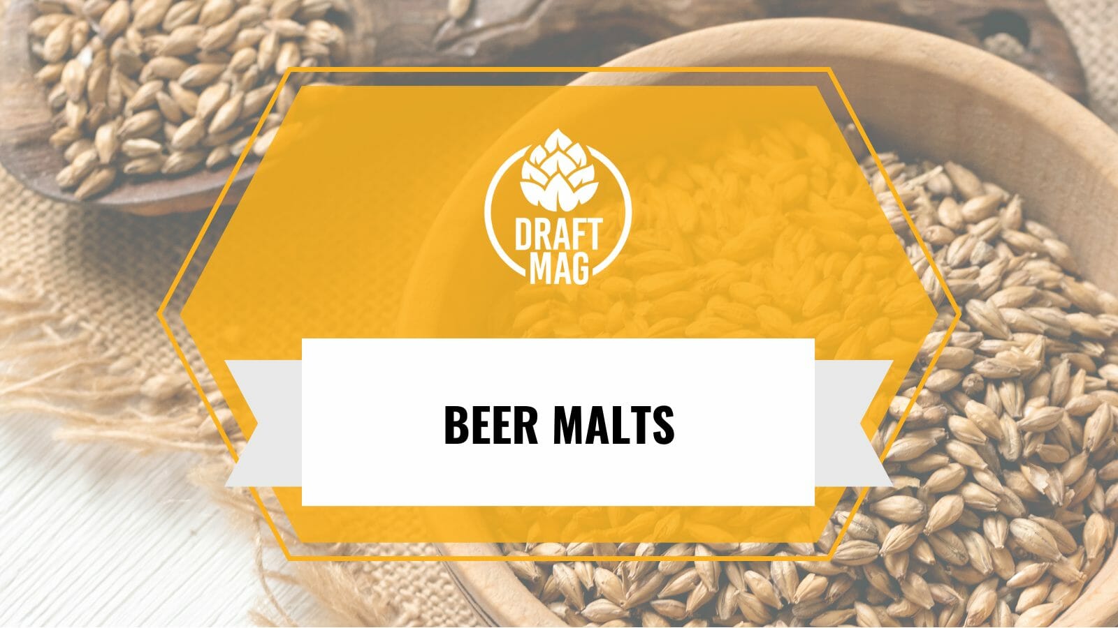 Guide for beer malts