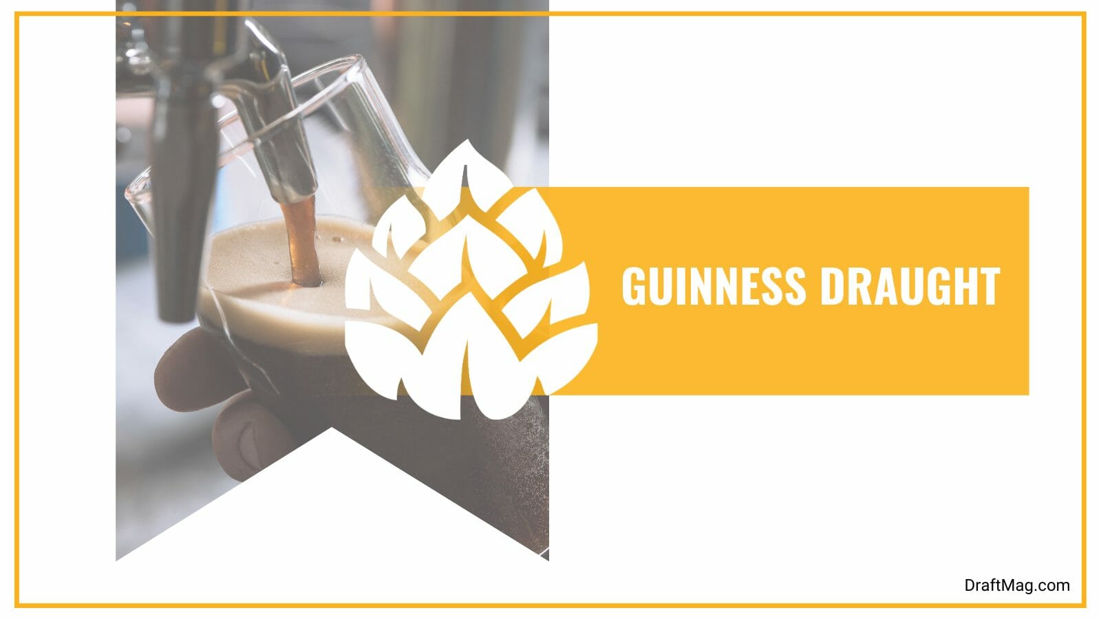 Guinness draught