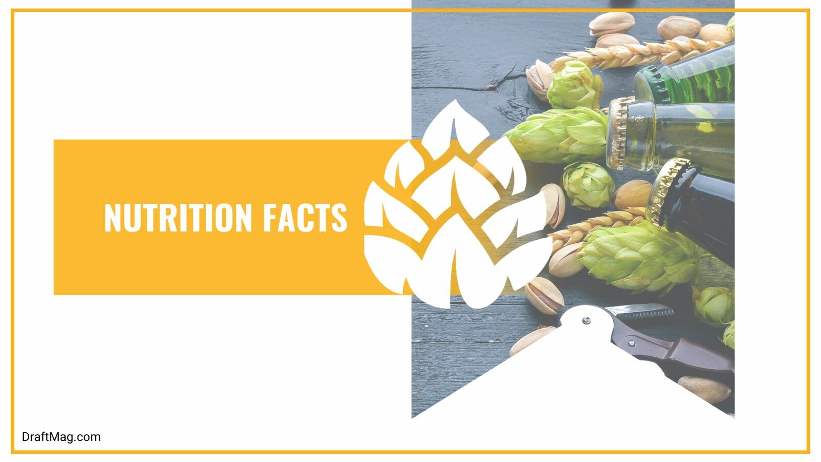 Health facts of american blonde ale