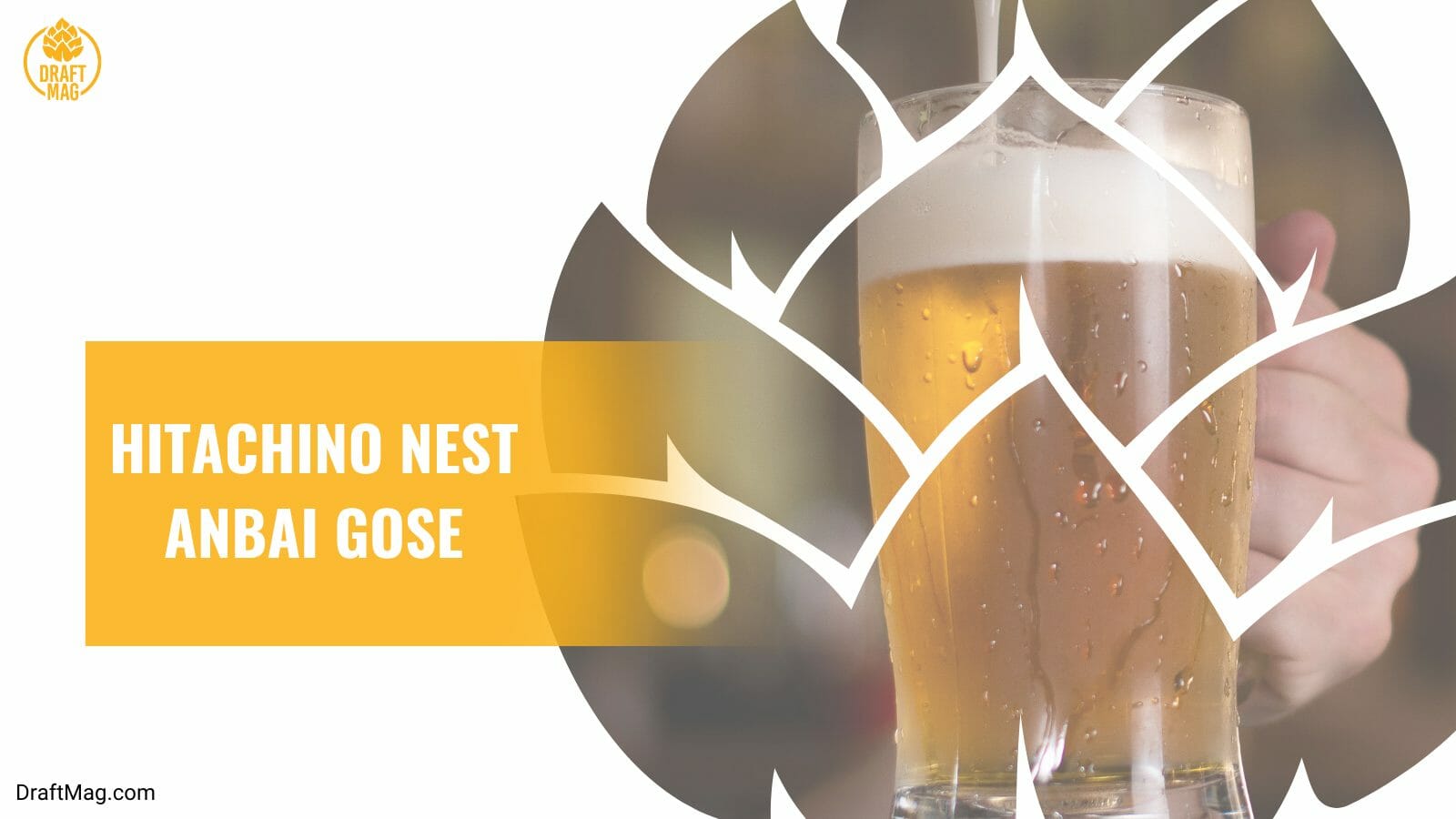 Hitachino nest anbai gose