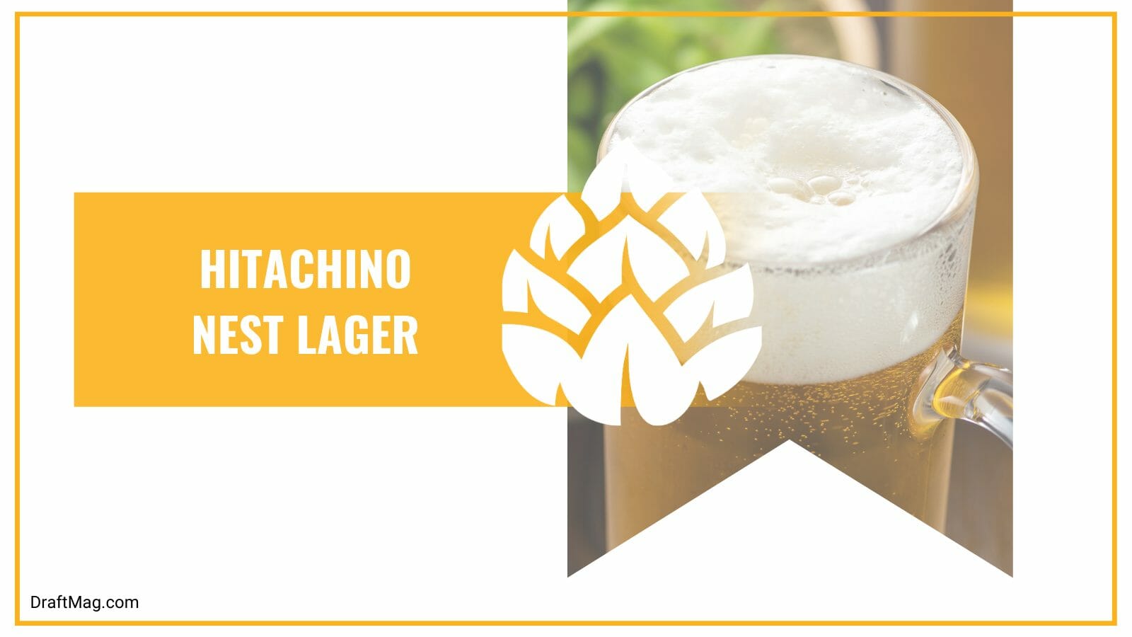 Hitachino nest lager