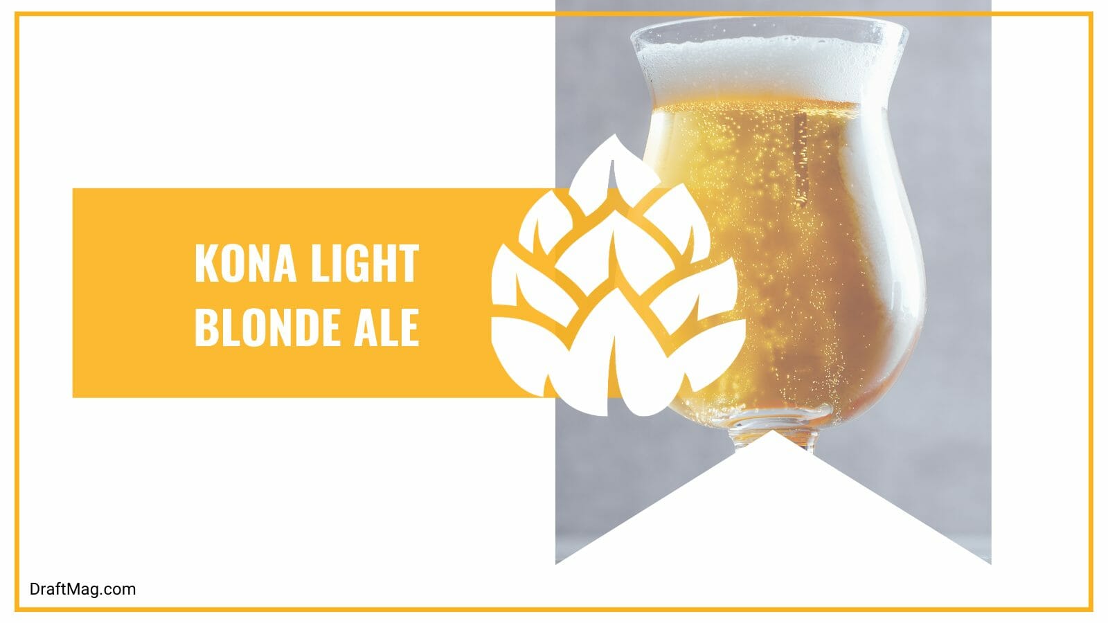 Kona light blonde ale