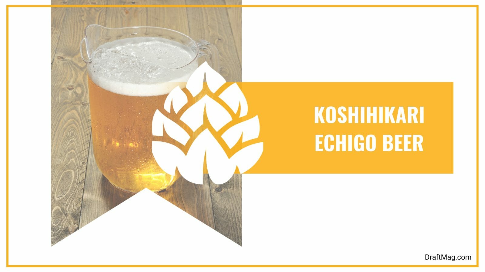 Koshihikari echigo beer
