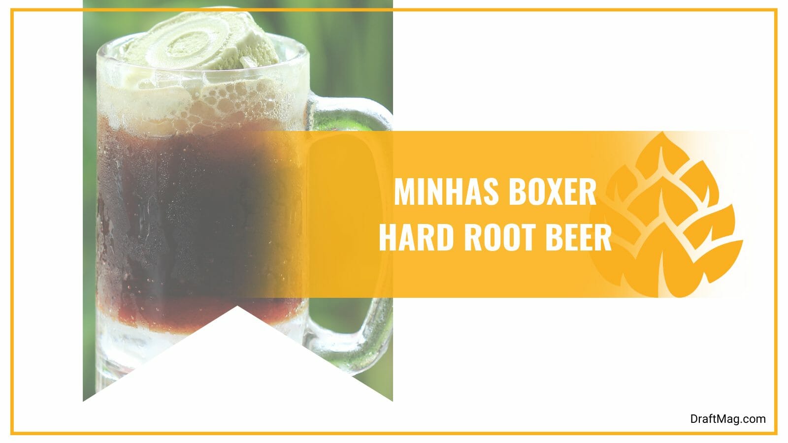 Minhas boxer hard root beer