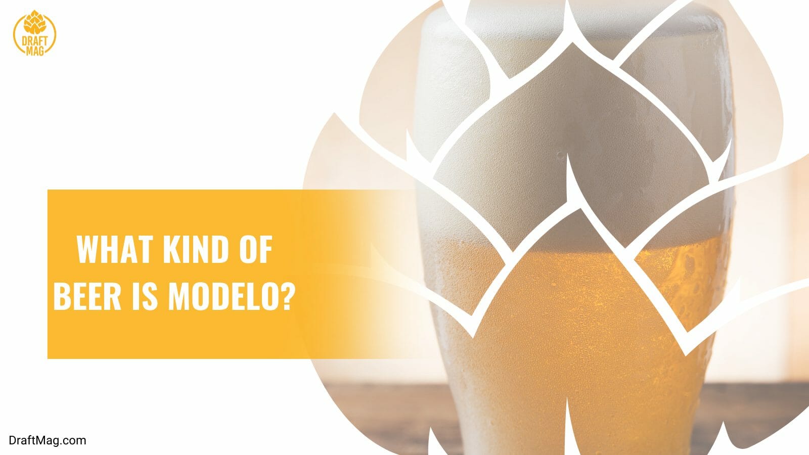 What Does Modelo Taste Like Learn About Popular Mexican Beer