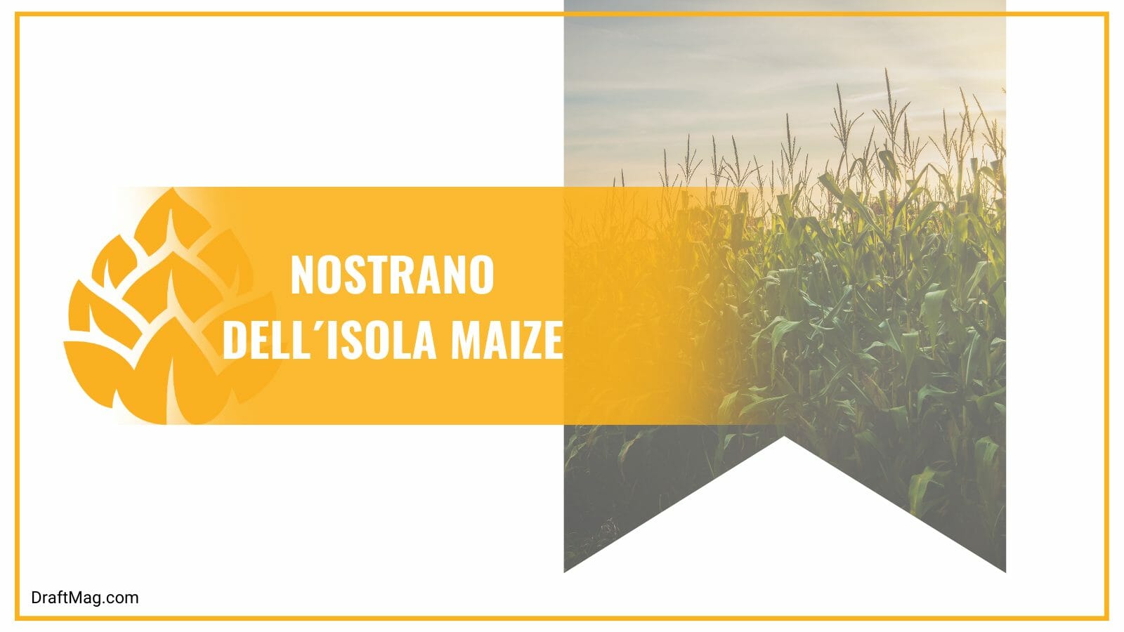 Nostrano dellisola maize