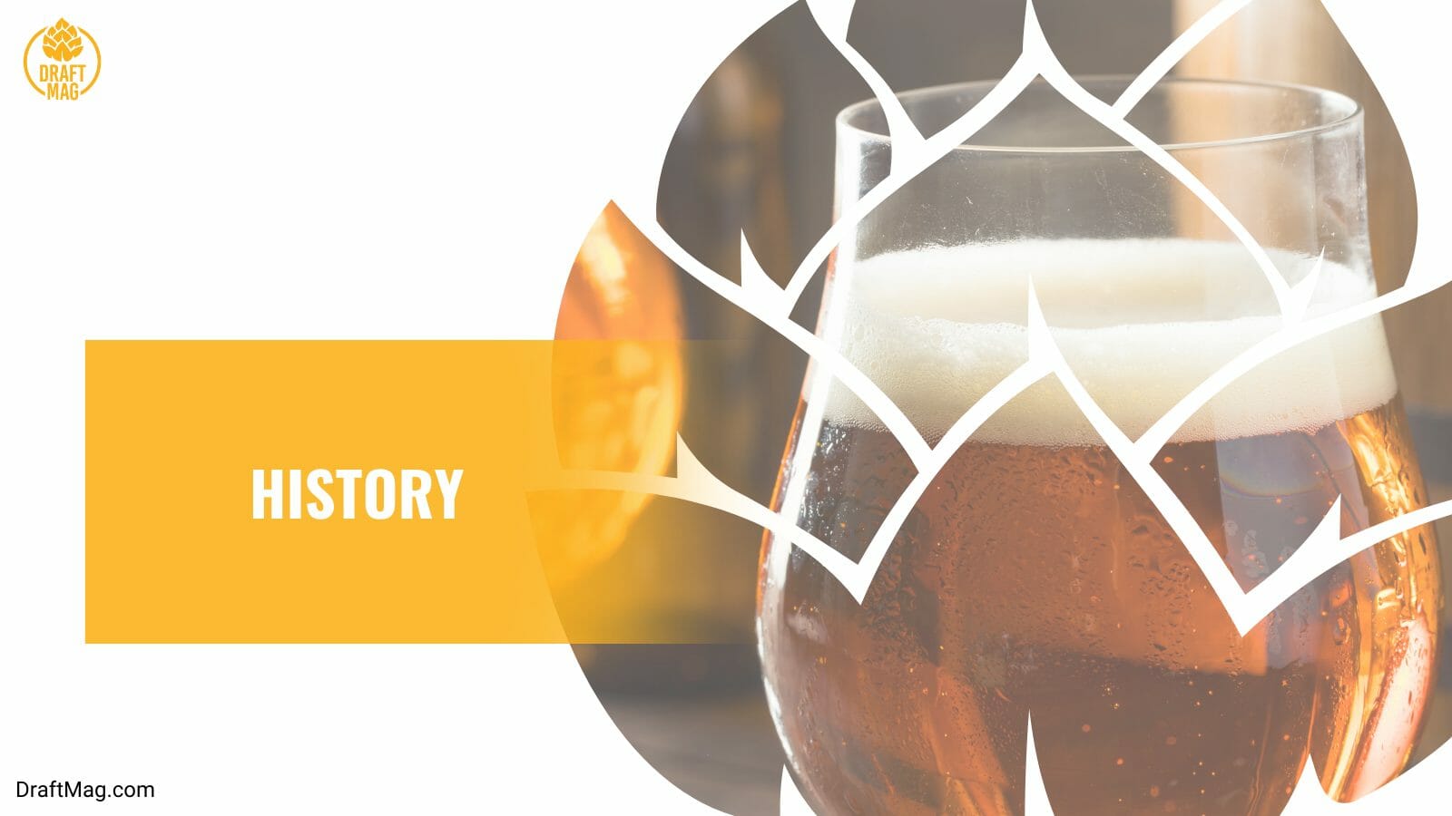 Origin of odell ipa beer