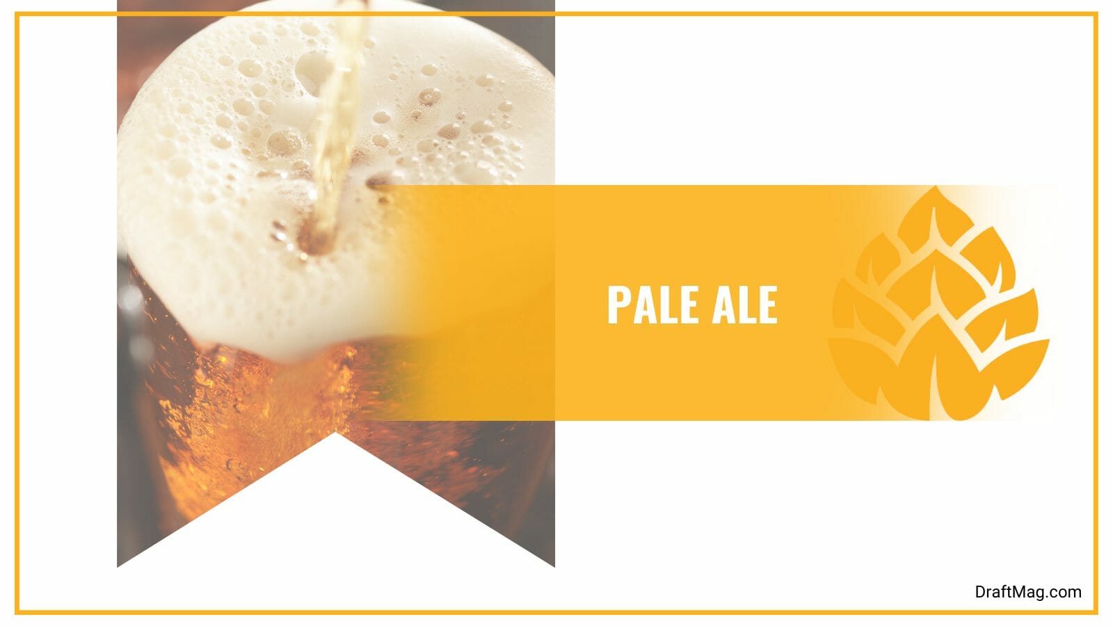 Pale ale