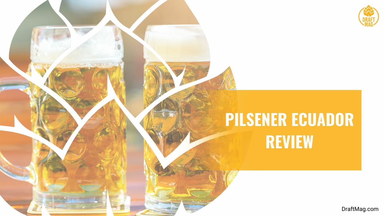 Pilsener ecuador analysis