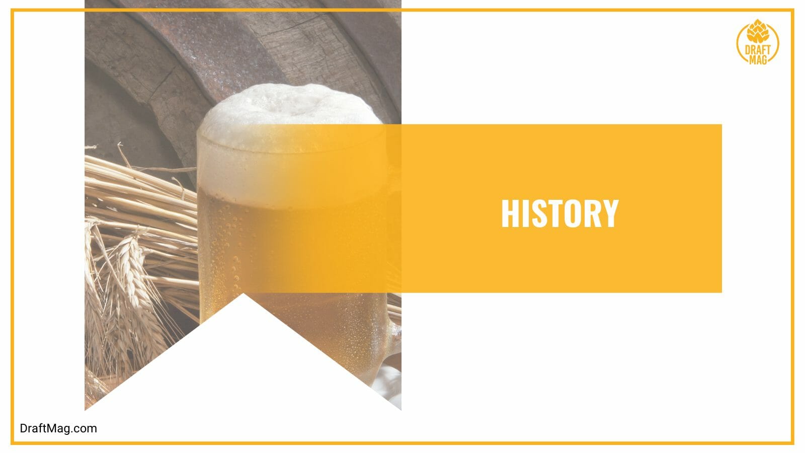 Pliny the younger beer story