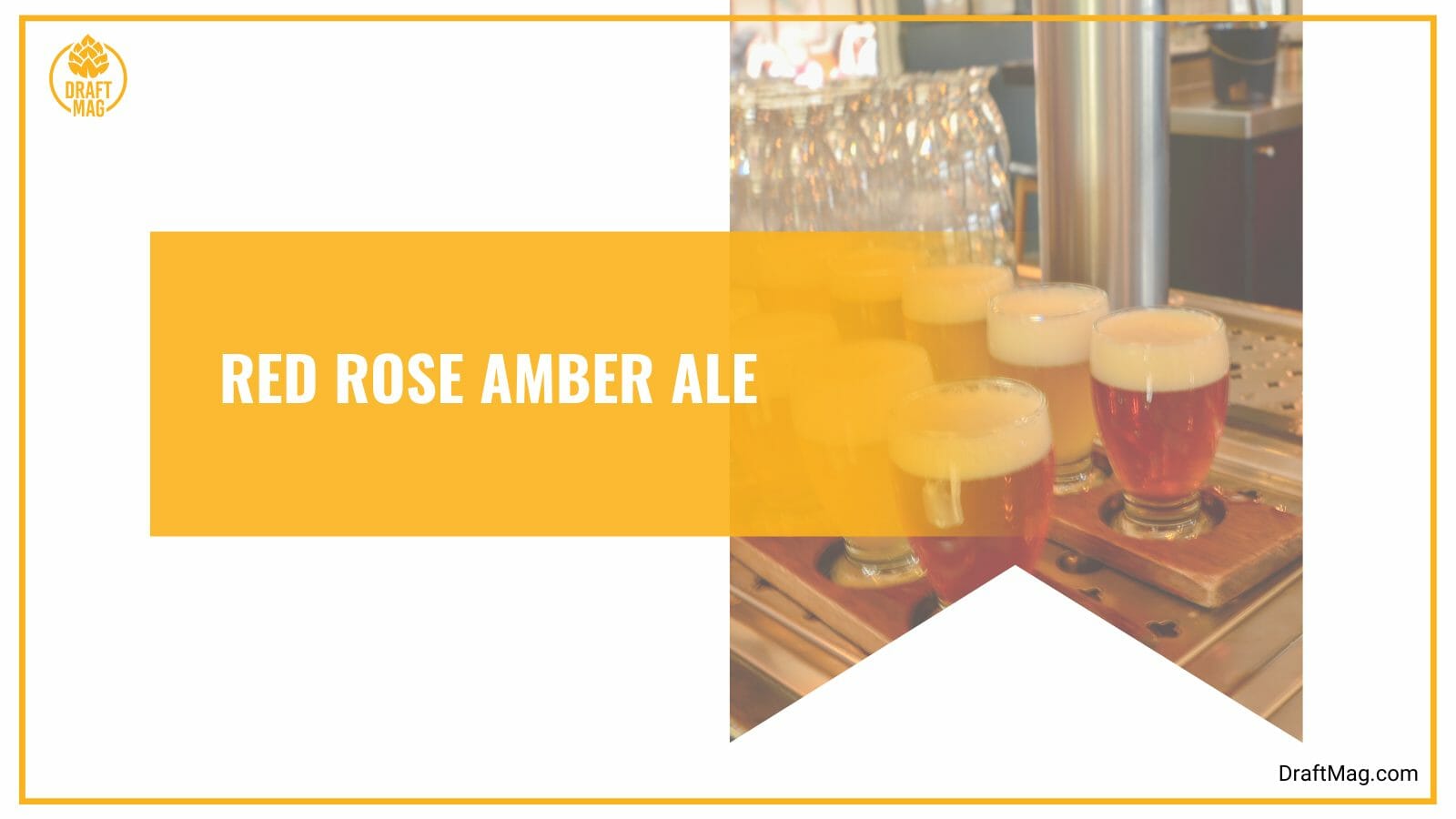 Red rose amber ale